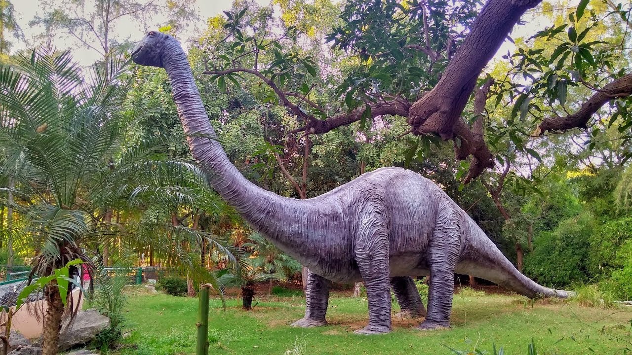 indroda park travel tour gujarat